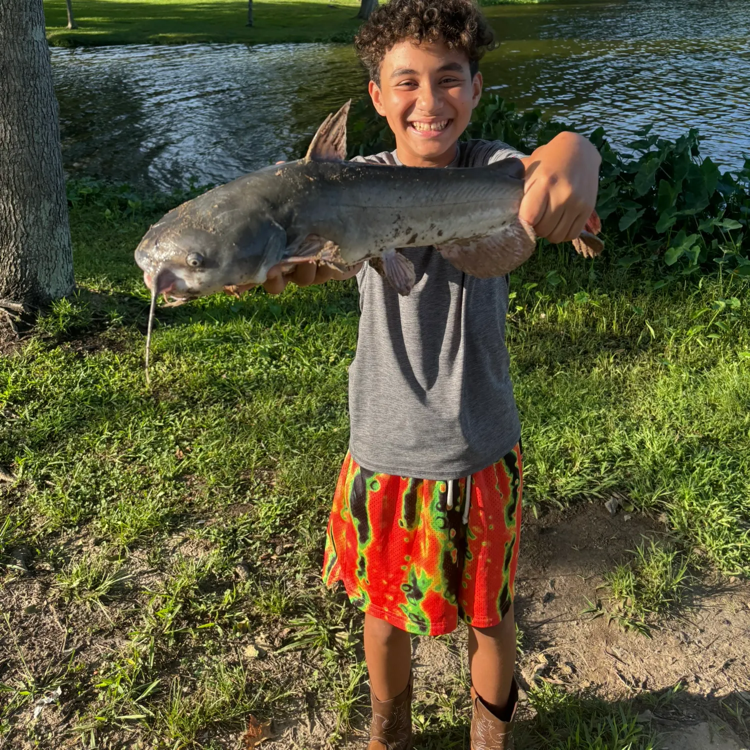 Blue catfish caught on Fishbrain