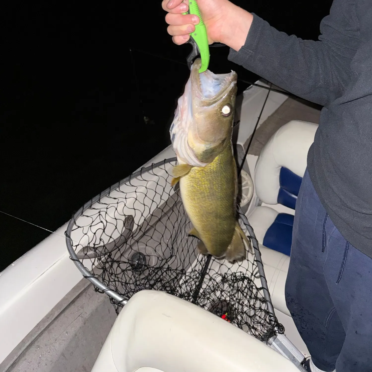 Walleye caught on Fishbrain