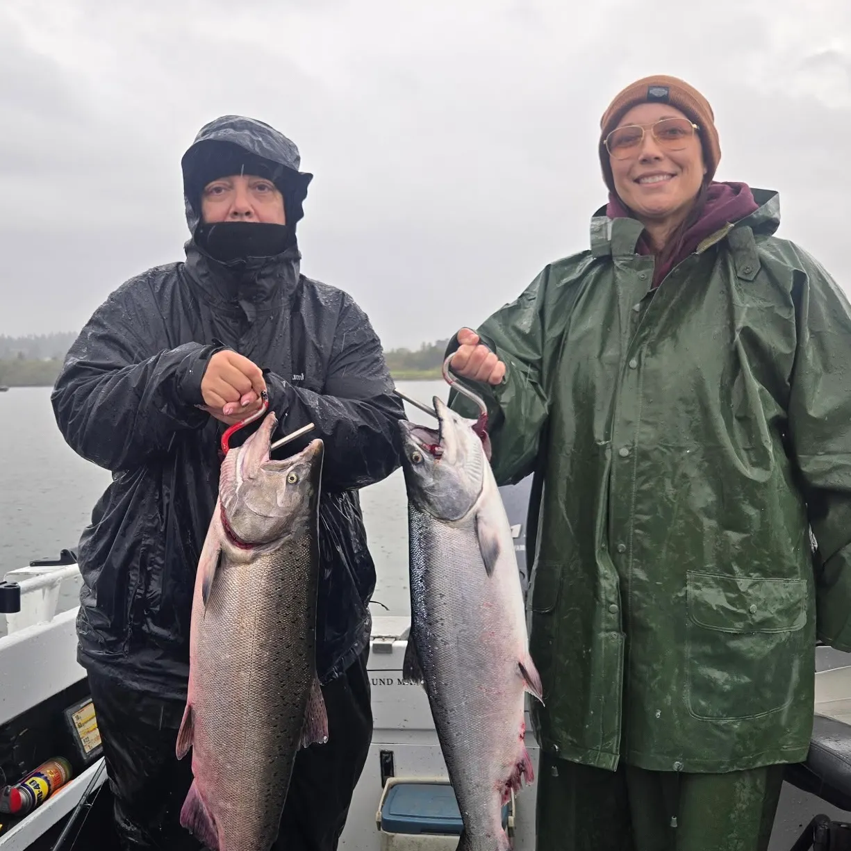 Chinook salmon caught on Fishbrain