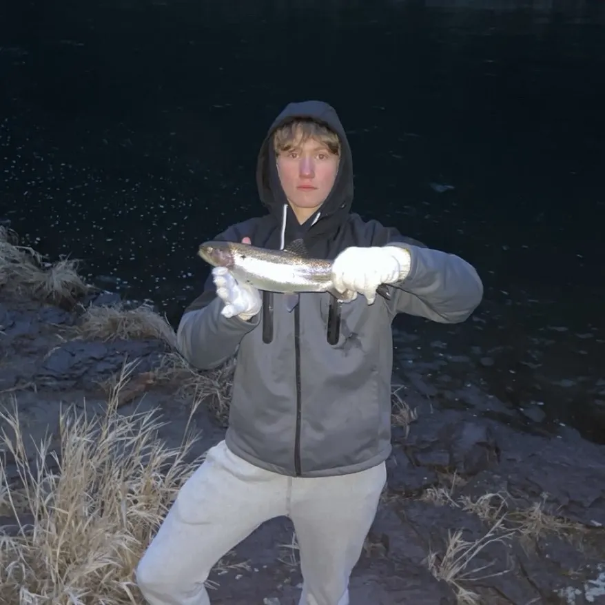 Rainbow trout caught on Fishbrain