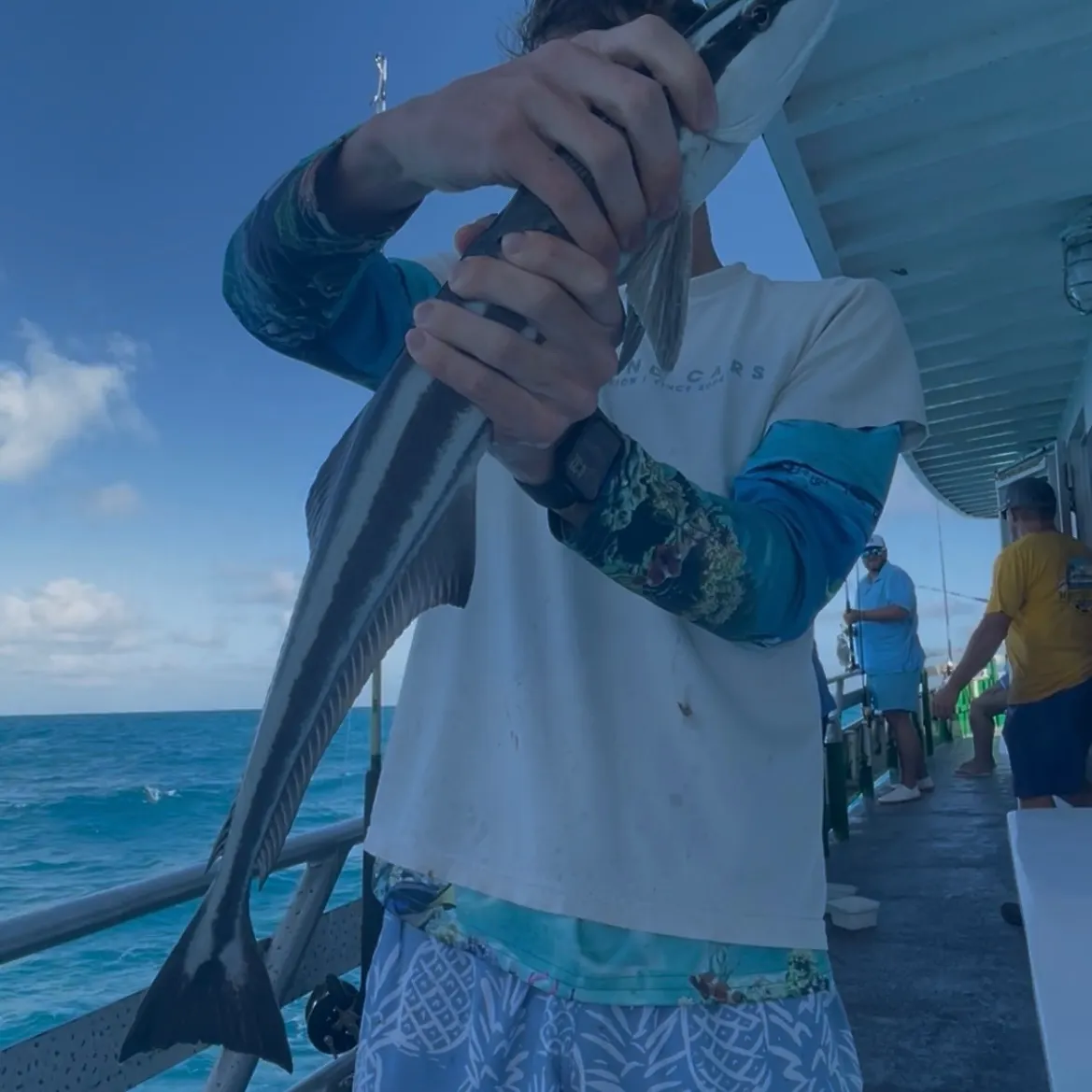 The most recent Live sharksucker catches on Fishbrain