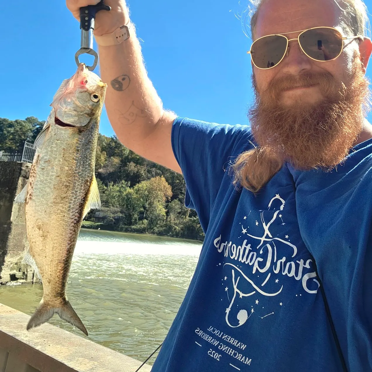 The most recent Skipjack herring catches on Fishbrain