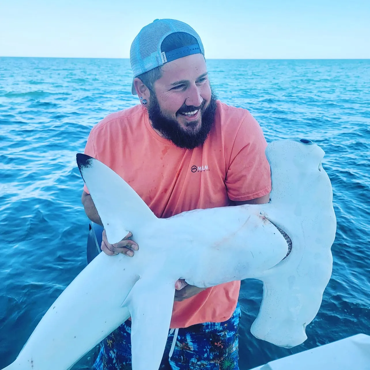 The most recent Smooth hammerhead shark catches on Fishbrain