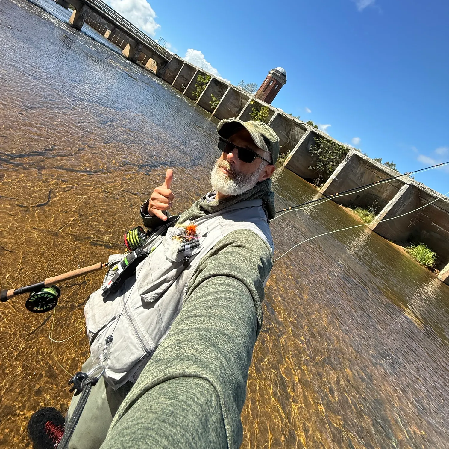 Pink salmon caught on Fishbrain