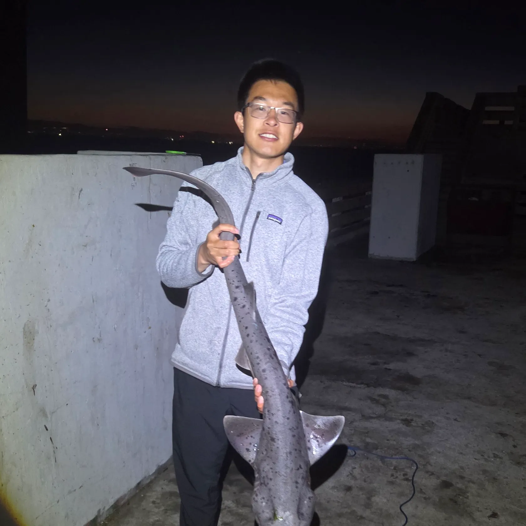 The most recent Broadnose sevengill shark catches on Fishbrain