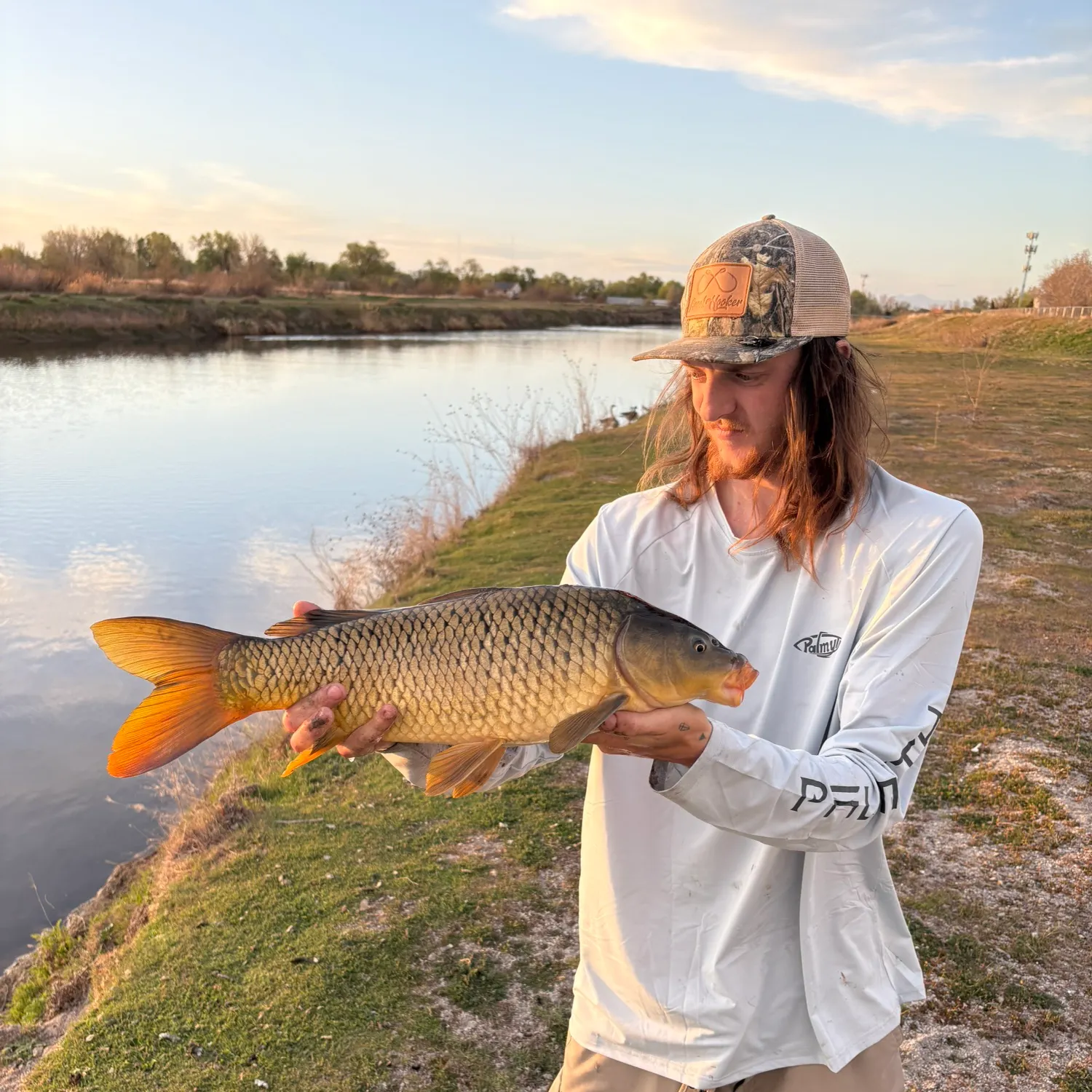 The most recent Common carp catches on Fishbrain