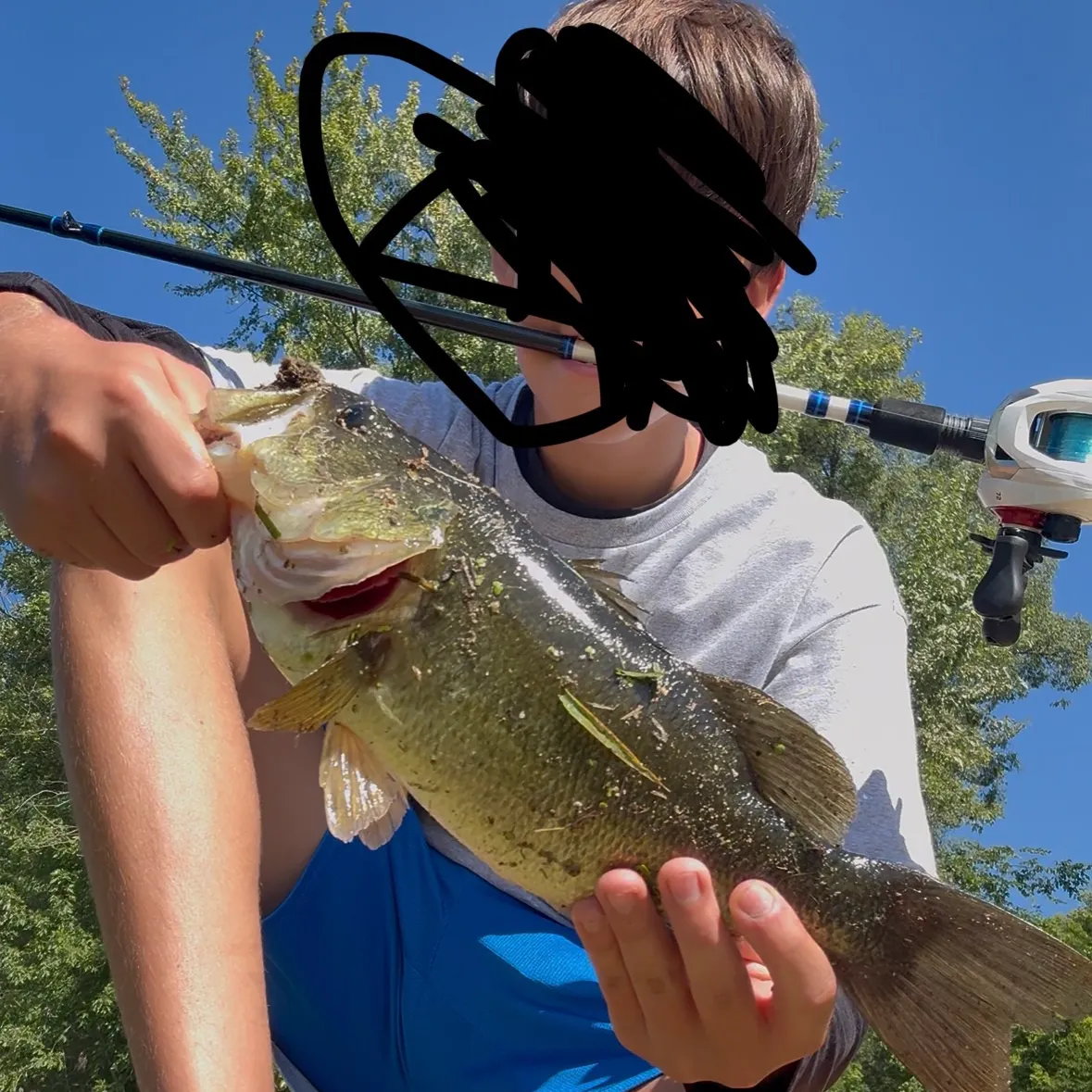 Largemouth bass caught on Fishbrain