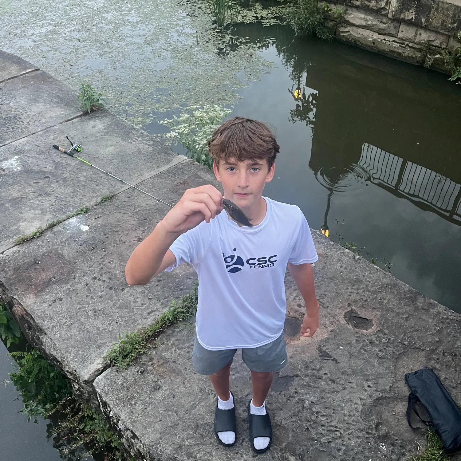 Bluegill caught on Fishbrain