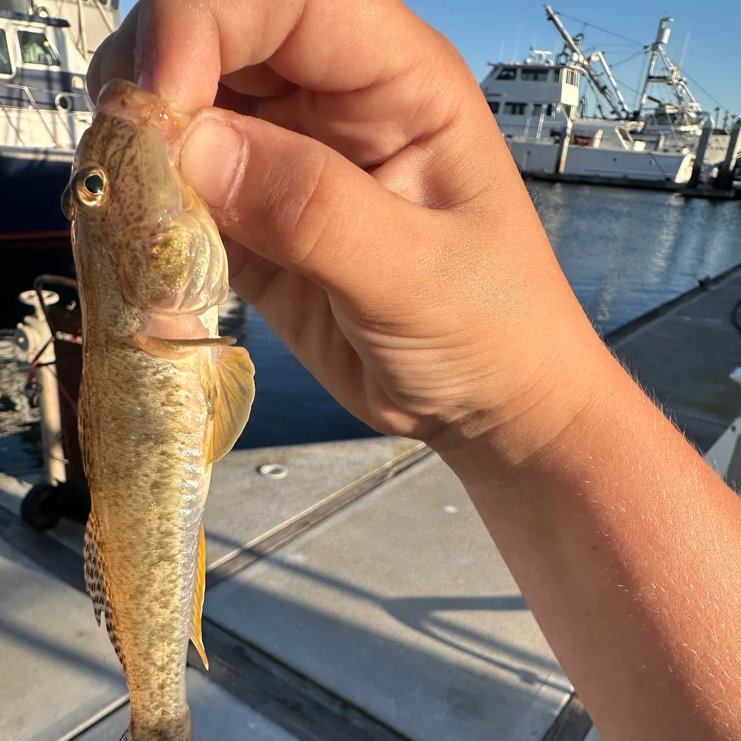 catch