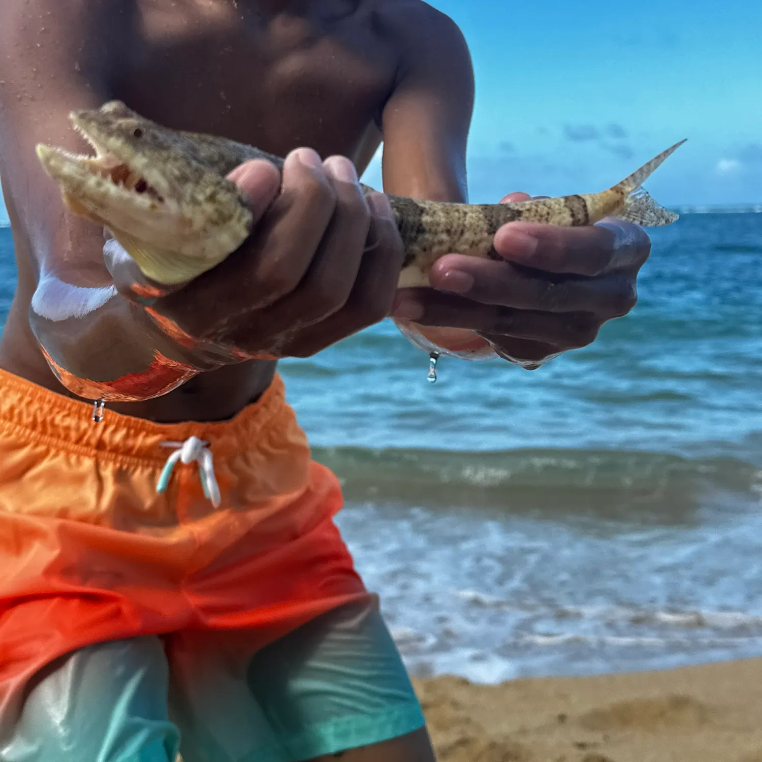 The most recent Atlantic lizardfish catches on Fishbrain