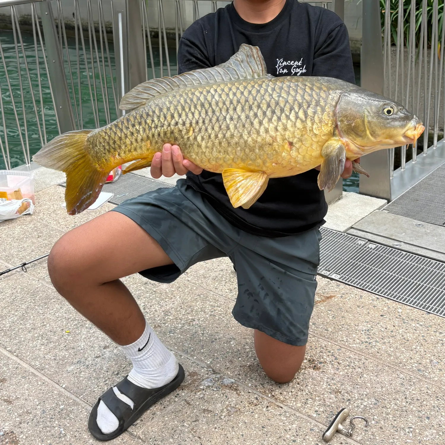 catch