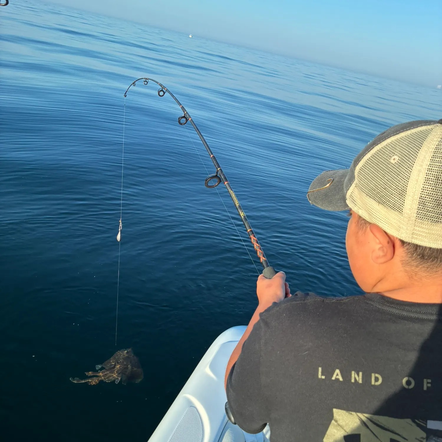 The most recent Longnosed skate catches on Fishbrain