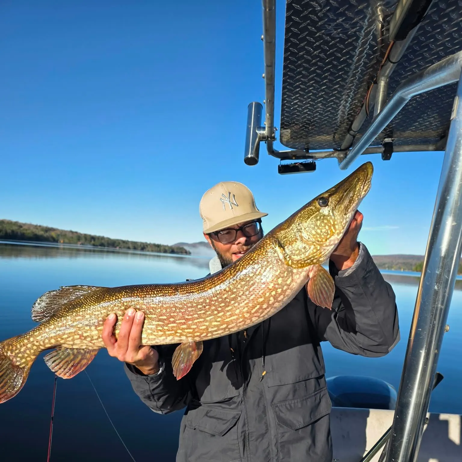 Northern pike caught on Fishbrain