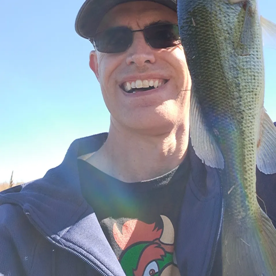 Largemouth bass caught on Fishbrain