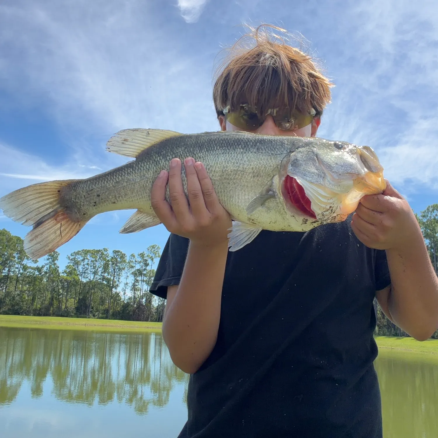 Largemouth bass caught on Fishbrain