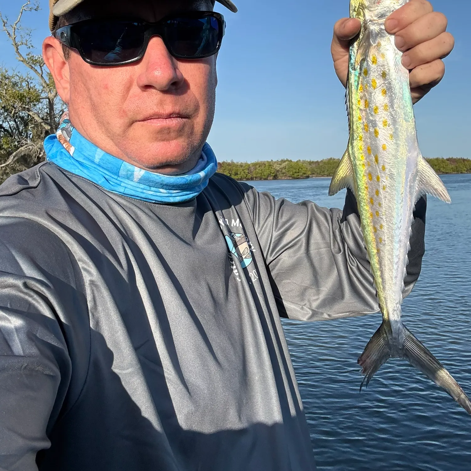 The most recent Spanish mackerel catches on Fishbrain