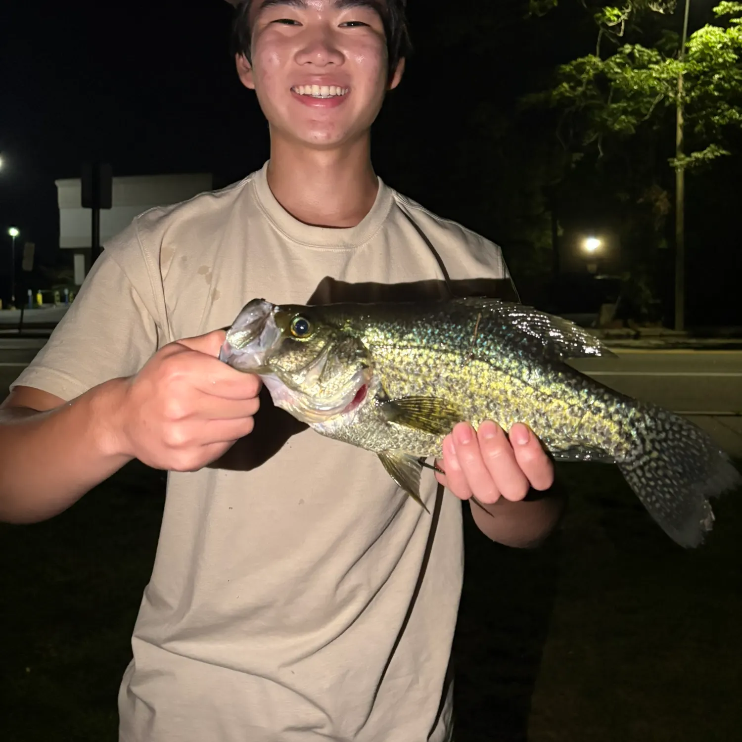 Black crappie caught on Fishbrain