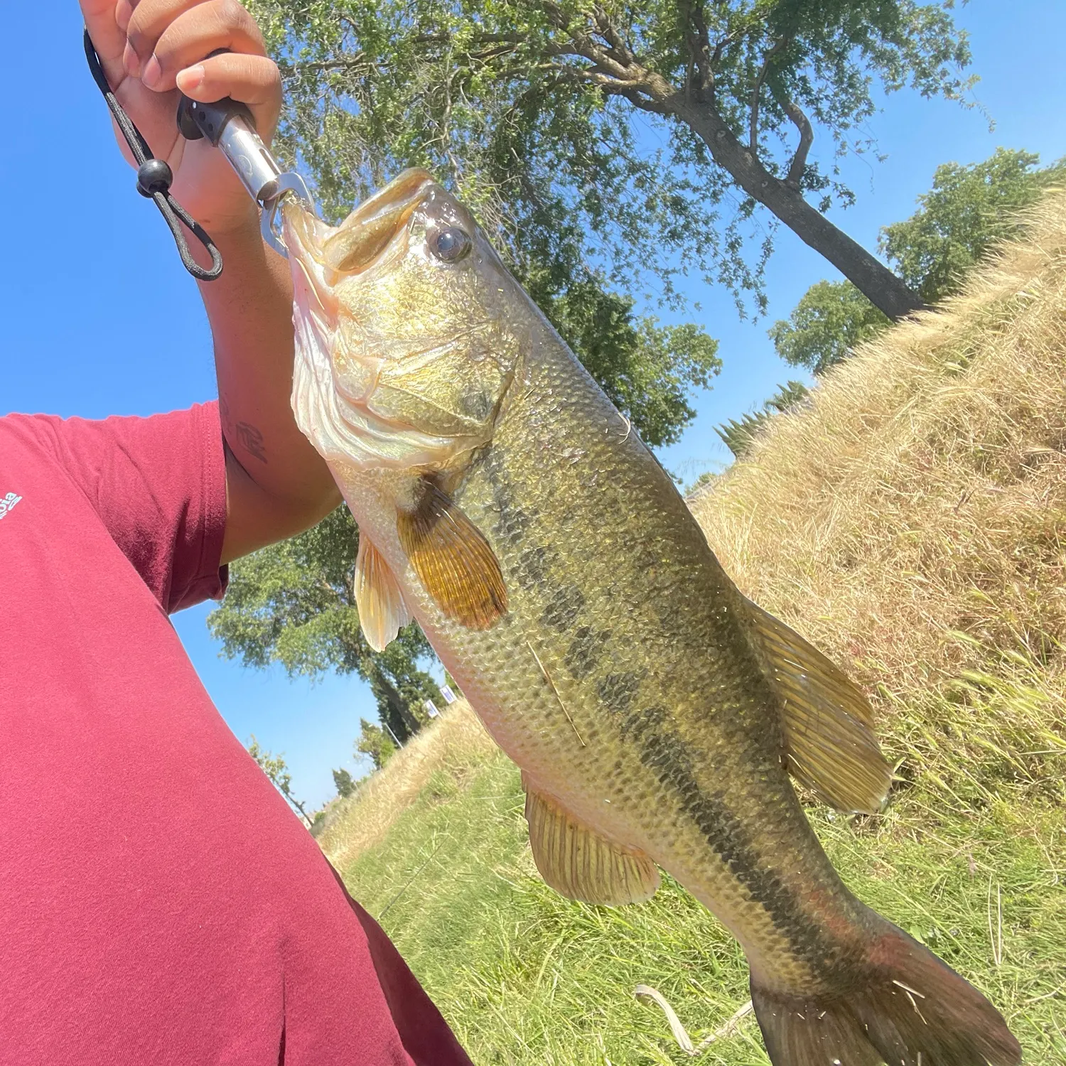angler catch