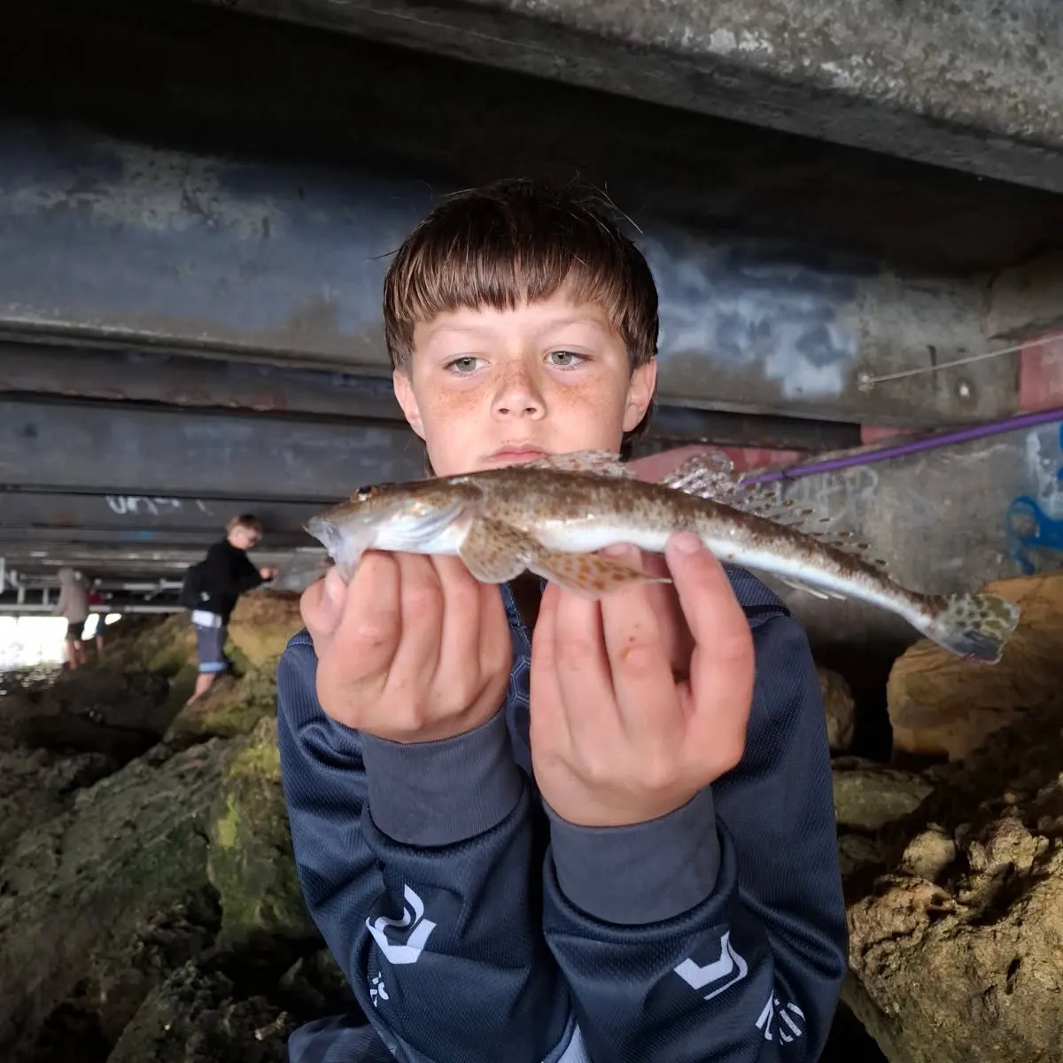 The most recent Blue-spotted flathead catches on Fishbrain