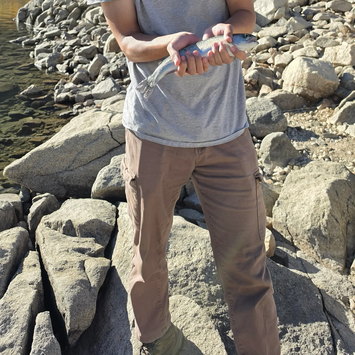 Rainbow trout caught on Fishbrain