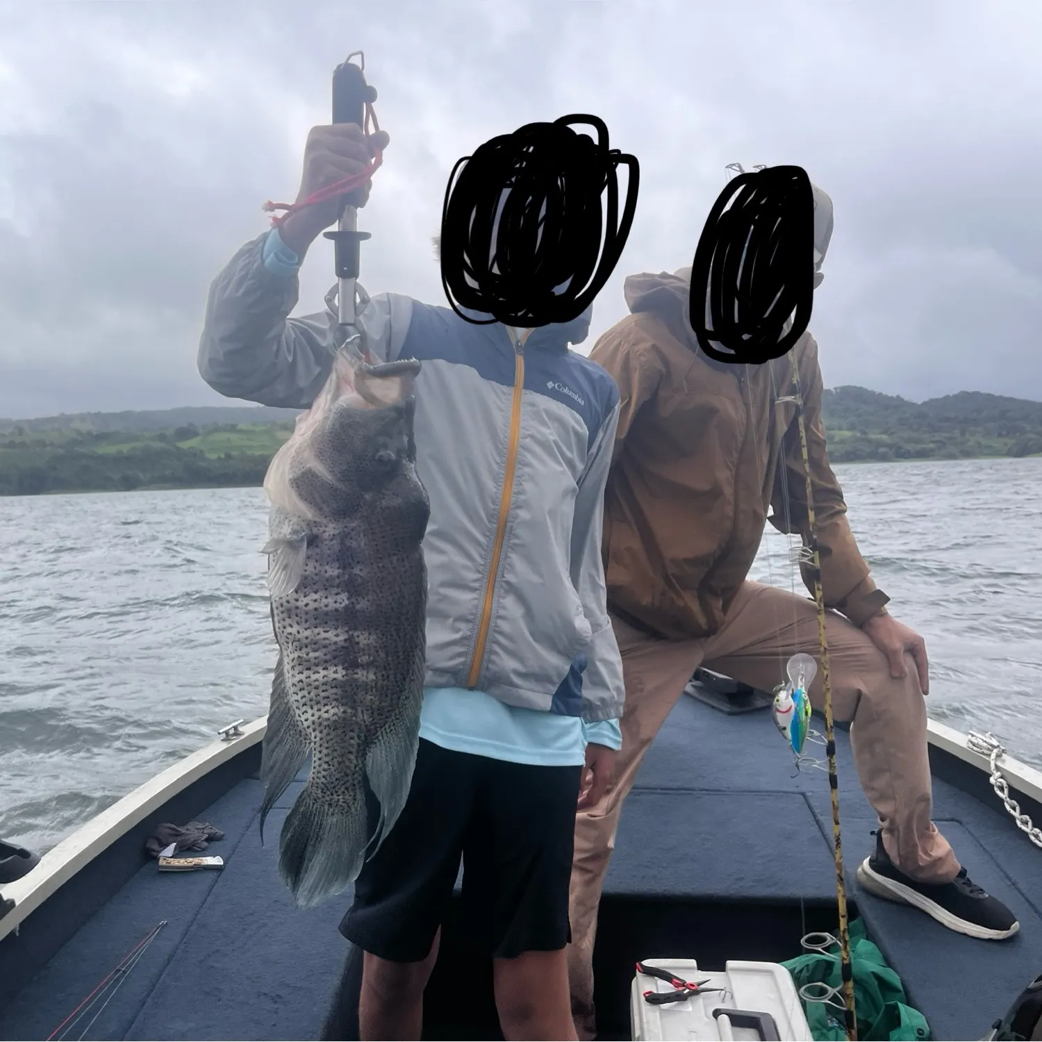 The most recent Wolf cichlid catches on Fishbrain