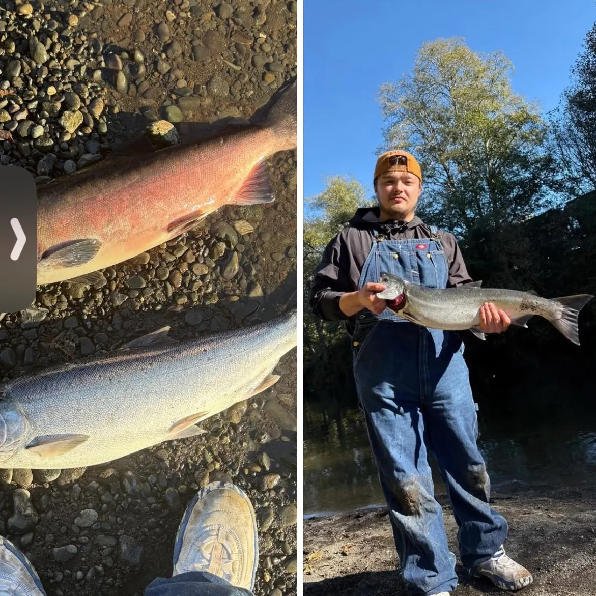 recently logged catches