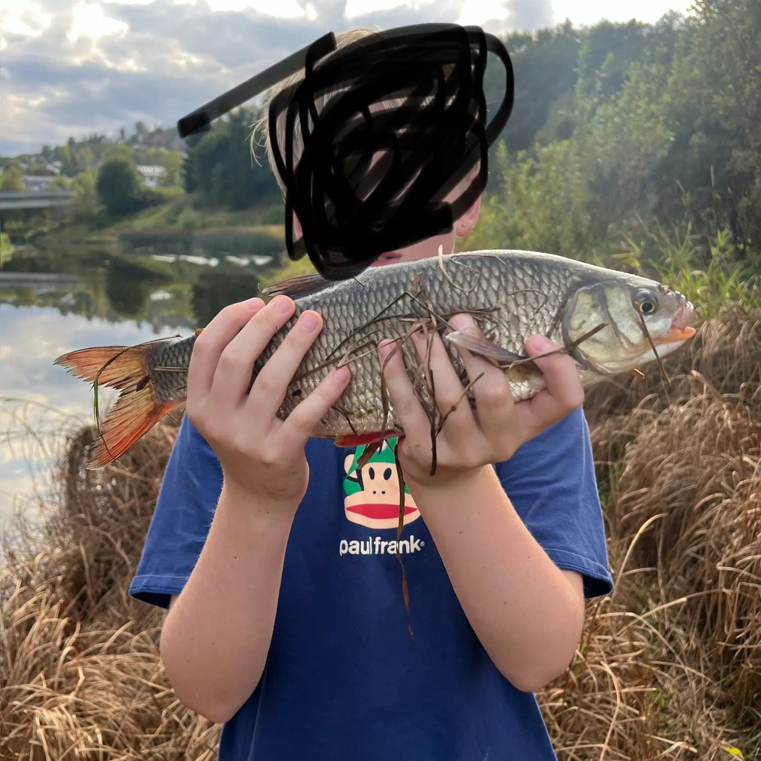 The most recent Ide catches on Fishbrain