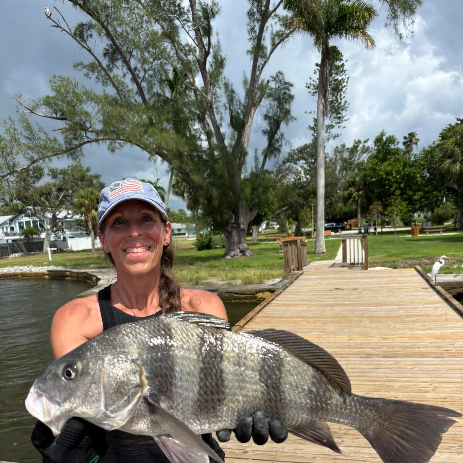 Black drum caught on Fishbrain