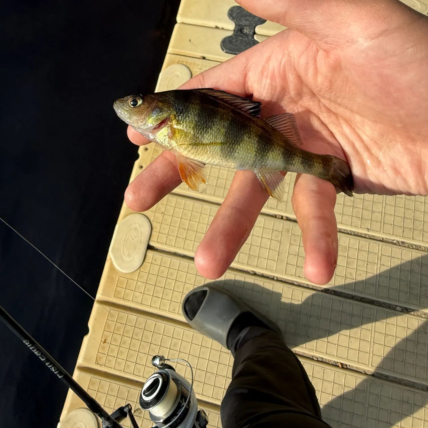 catch