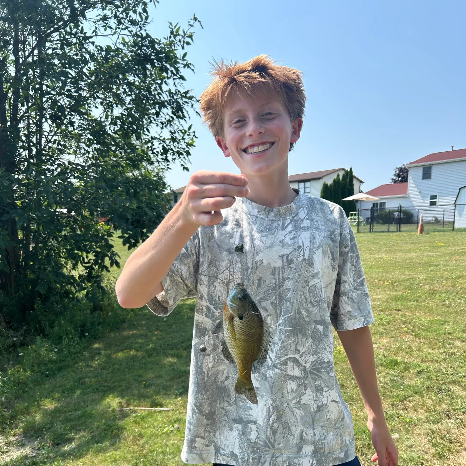 Bluegill caught on Fishbrain