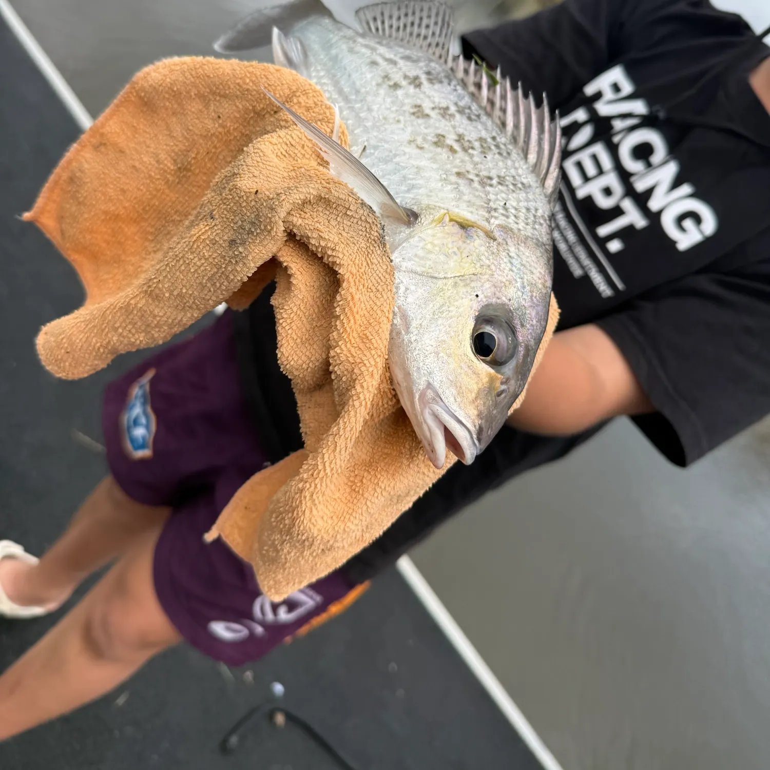catch