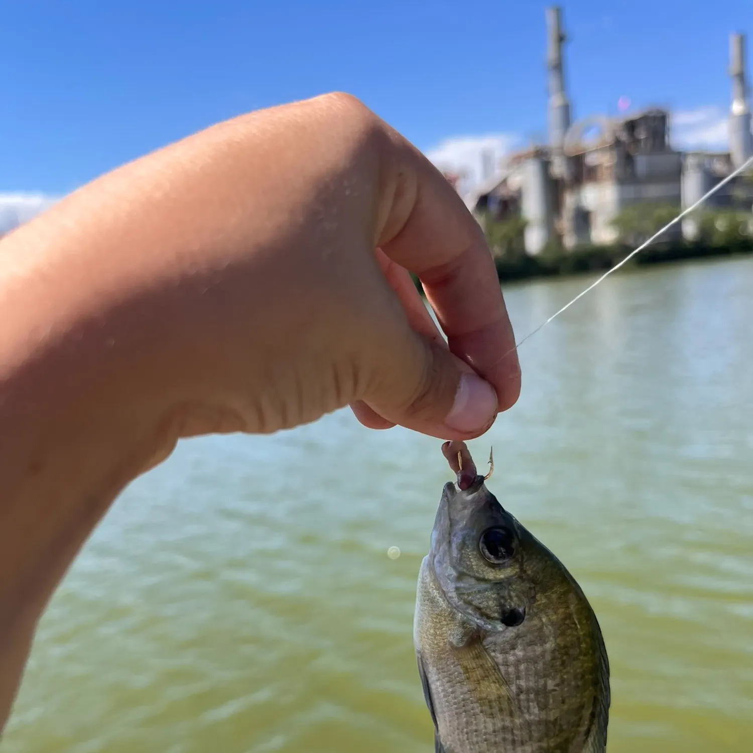 catch