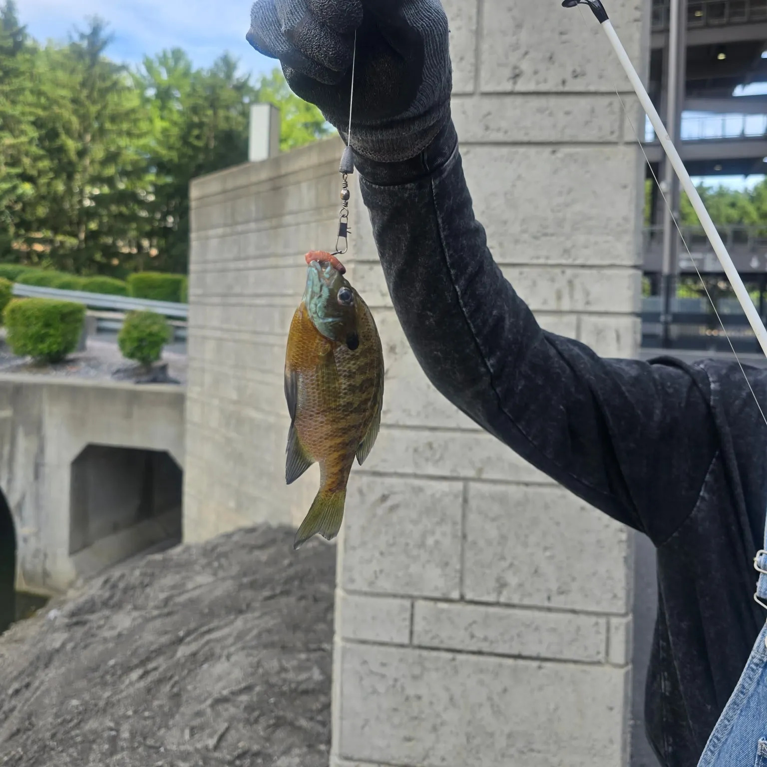 catch