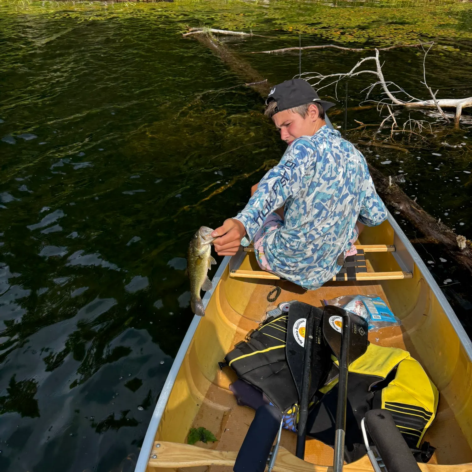 recently logged catches