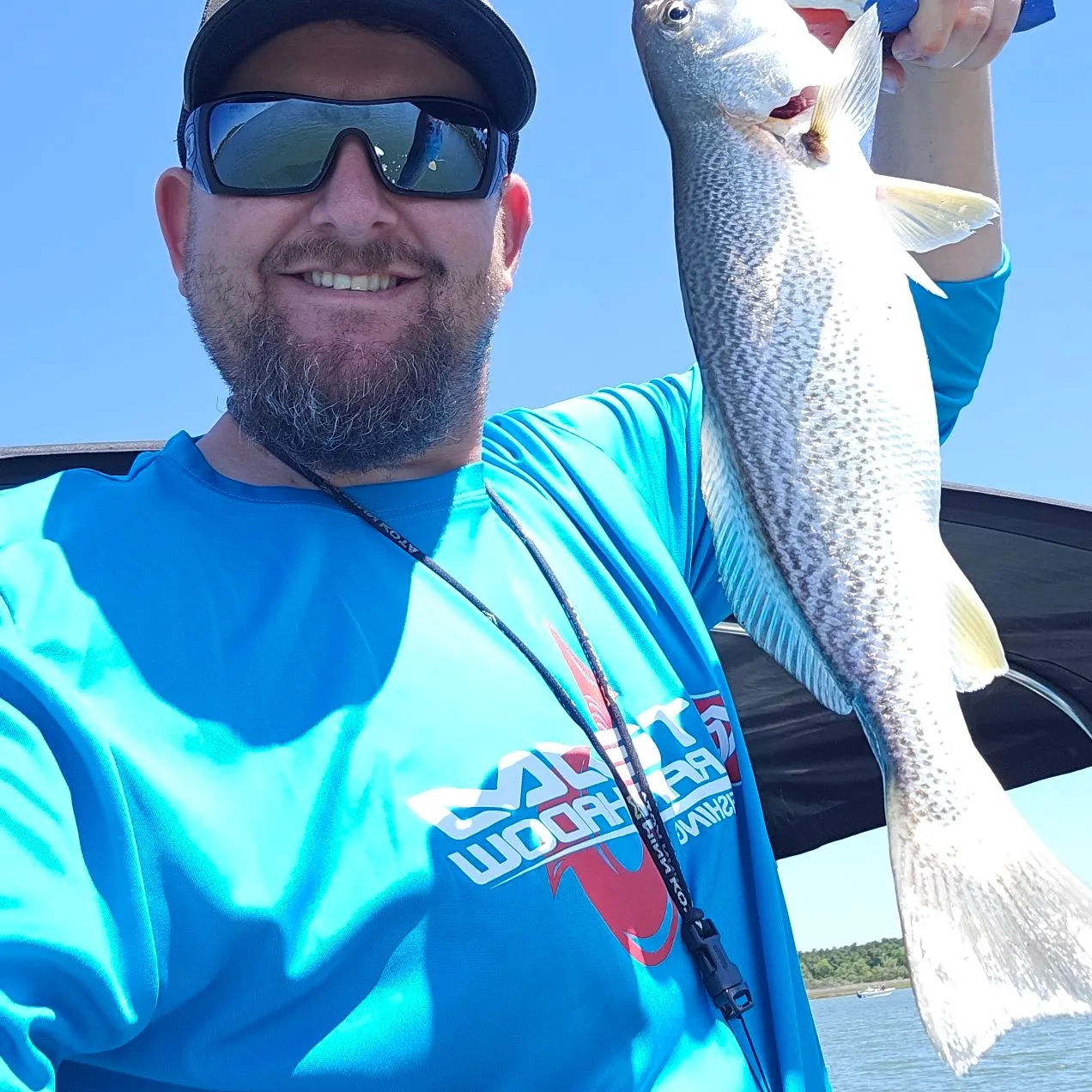 Gray weakfish caught on Fishbrain