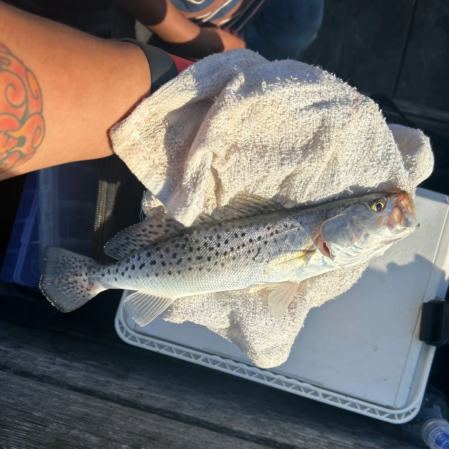 catch