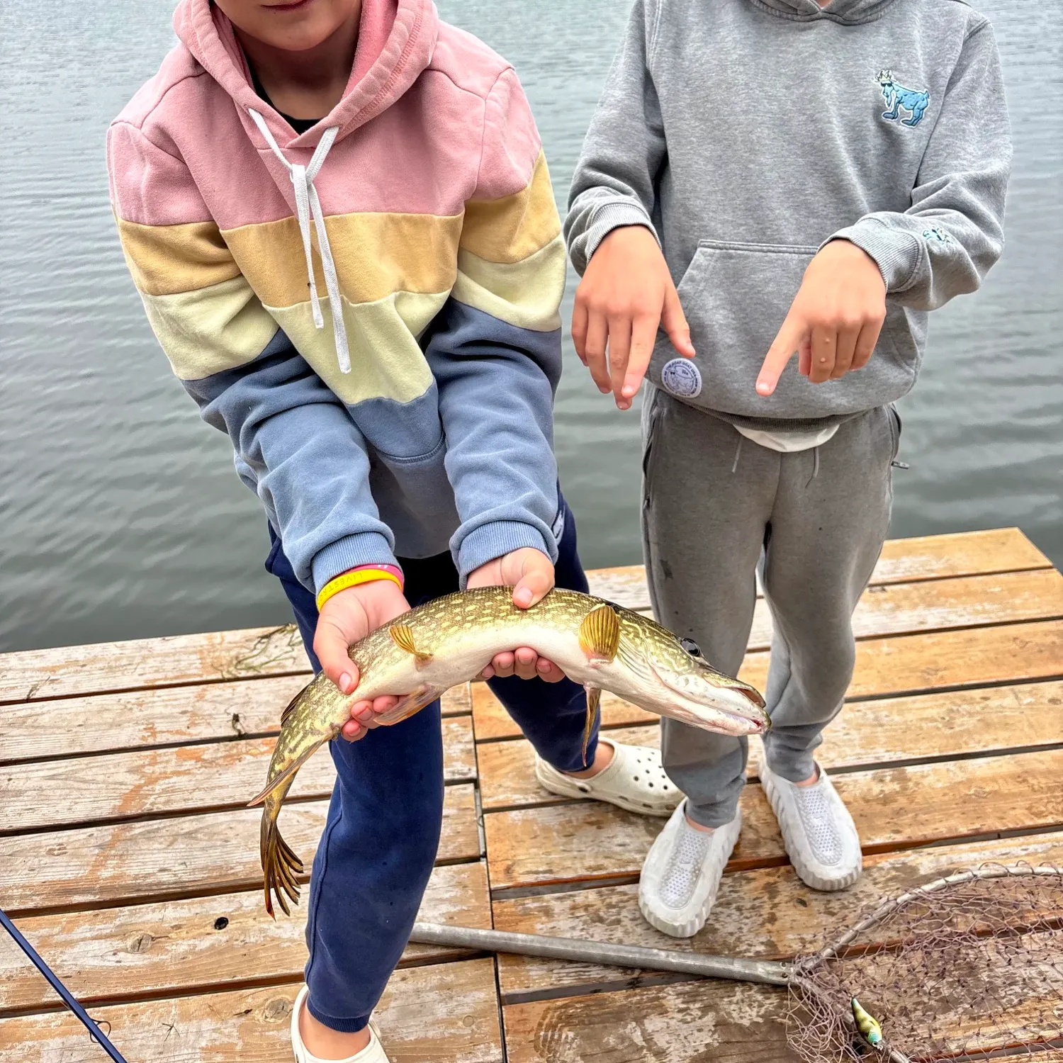 Northern pike caught on Fishbrain