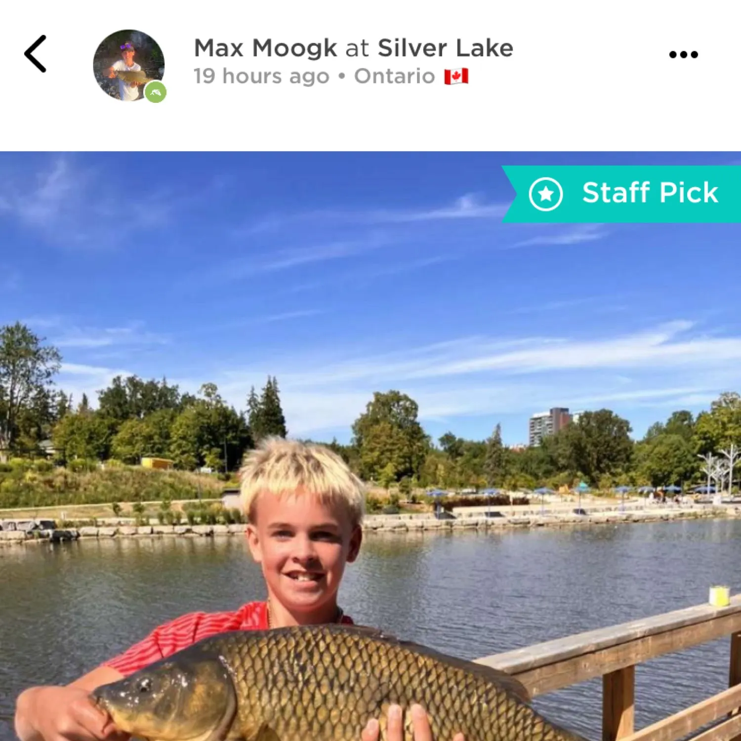 recently logged catches