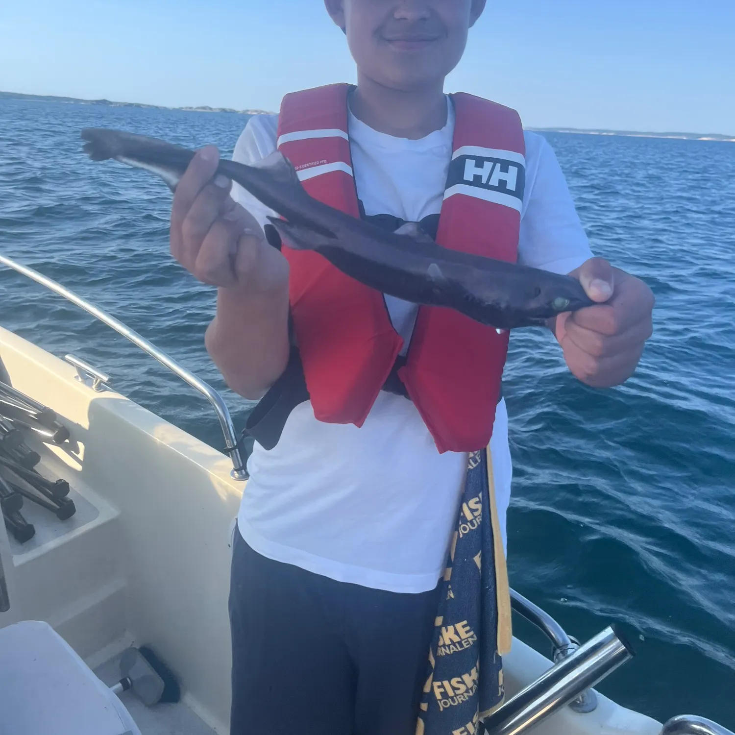 The most recent Velvet belly lanternshark catches on Fishbrain
