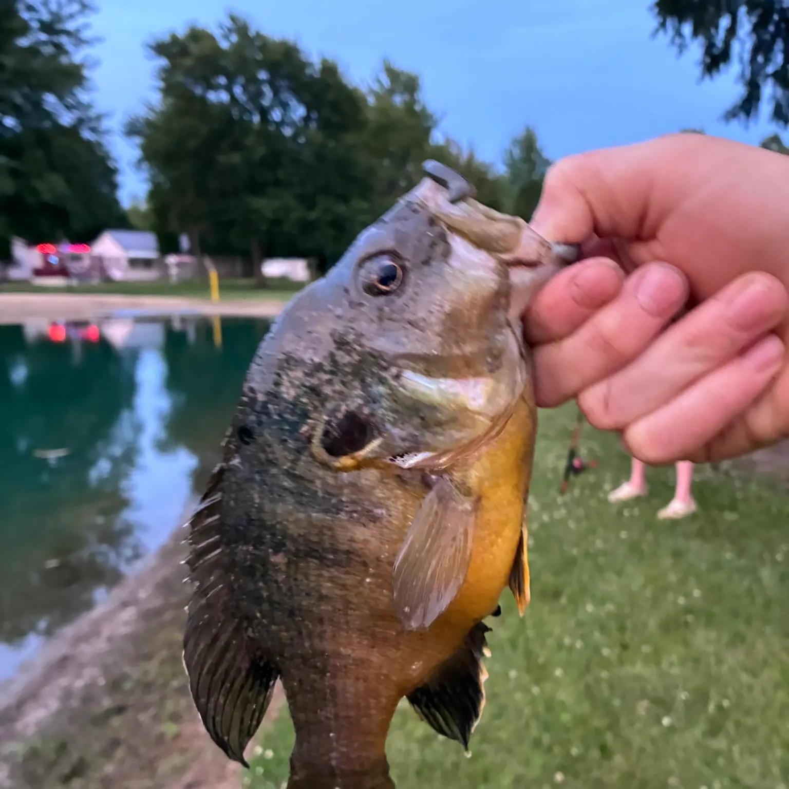 catch