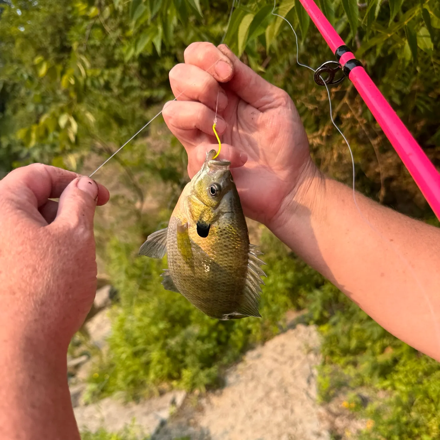 catch