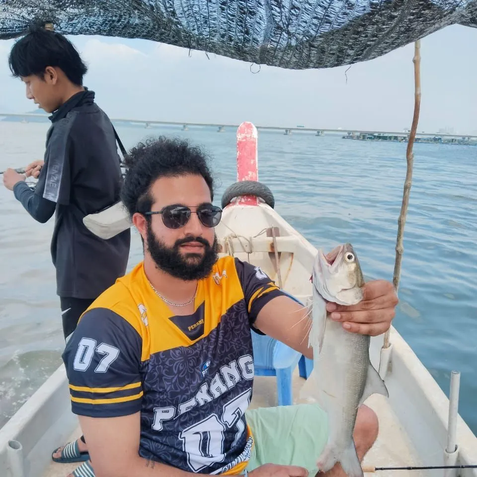 The most recent Fourfinger threadfin catches on Fishbrain