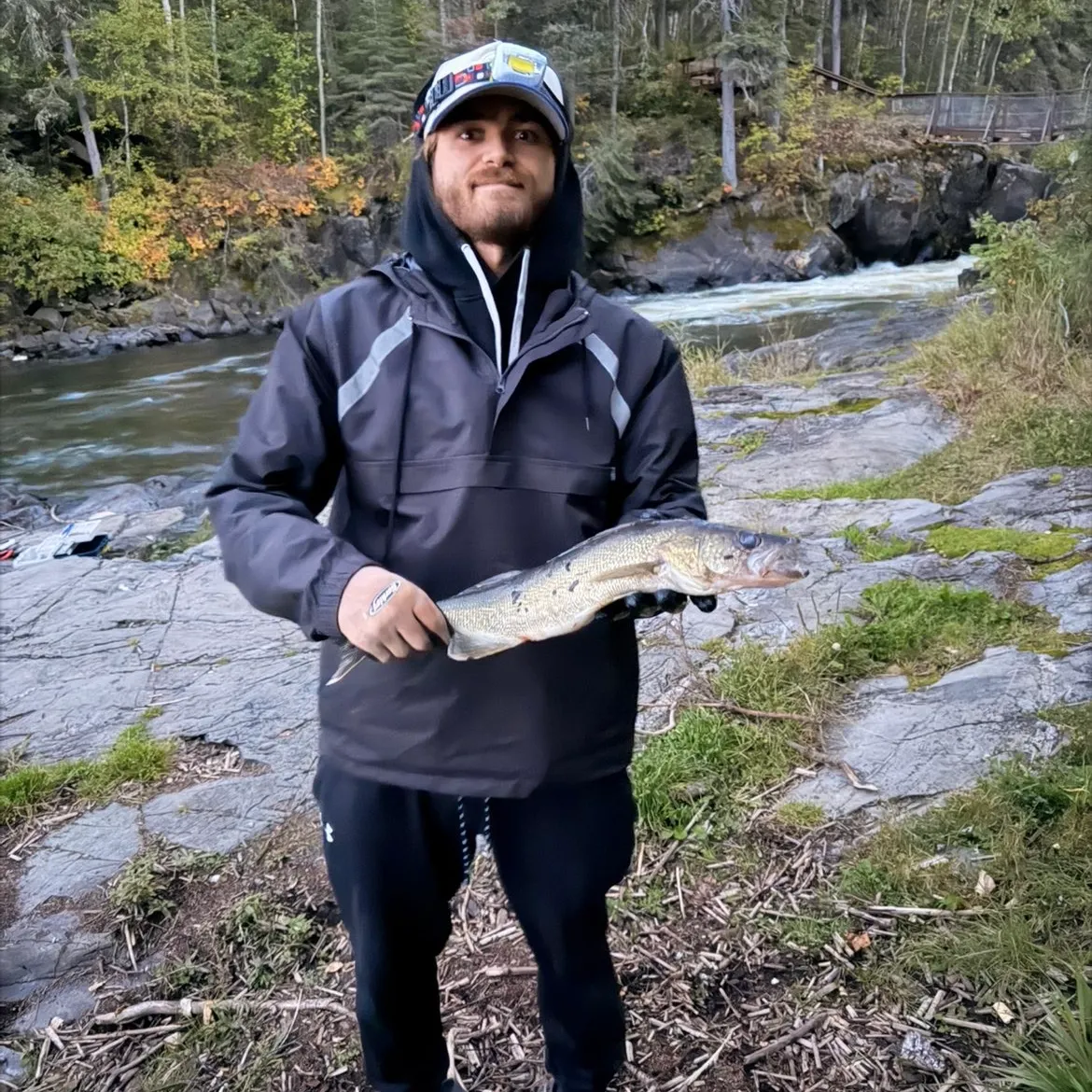 Walleye caught on Fishbrain