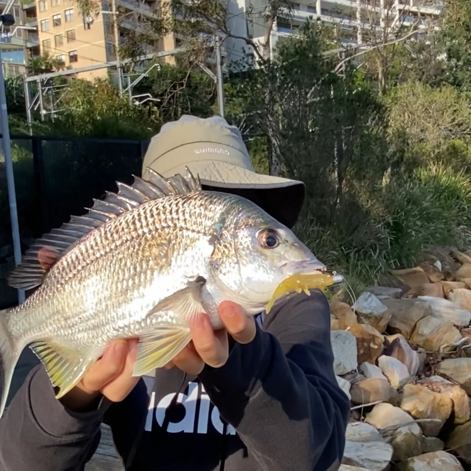 angler catch