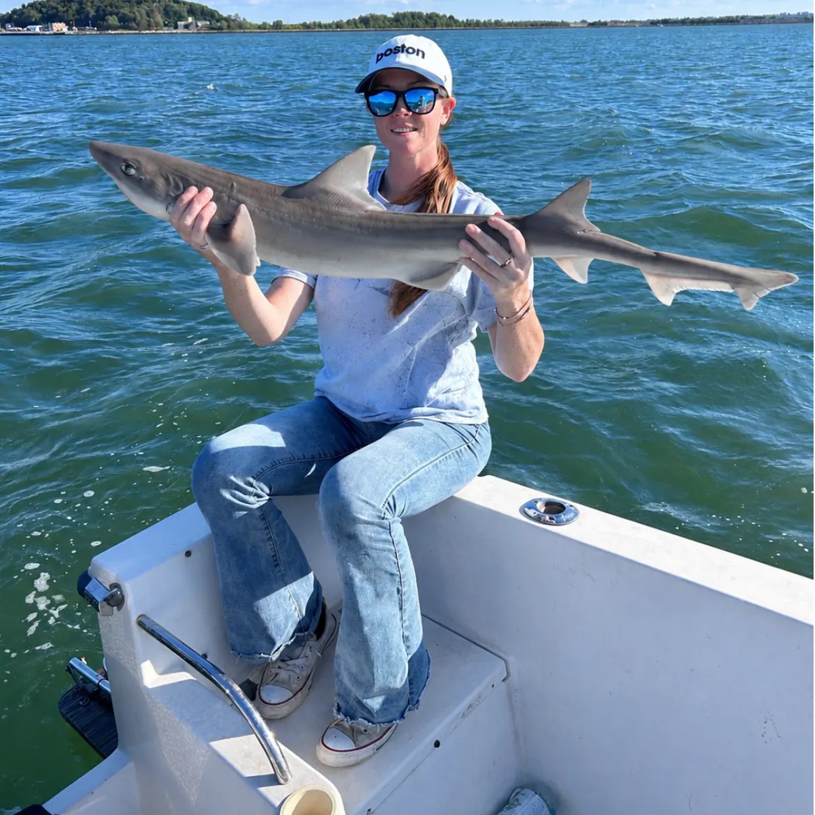 Dusky smooth-hound caught on Fishbrain