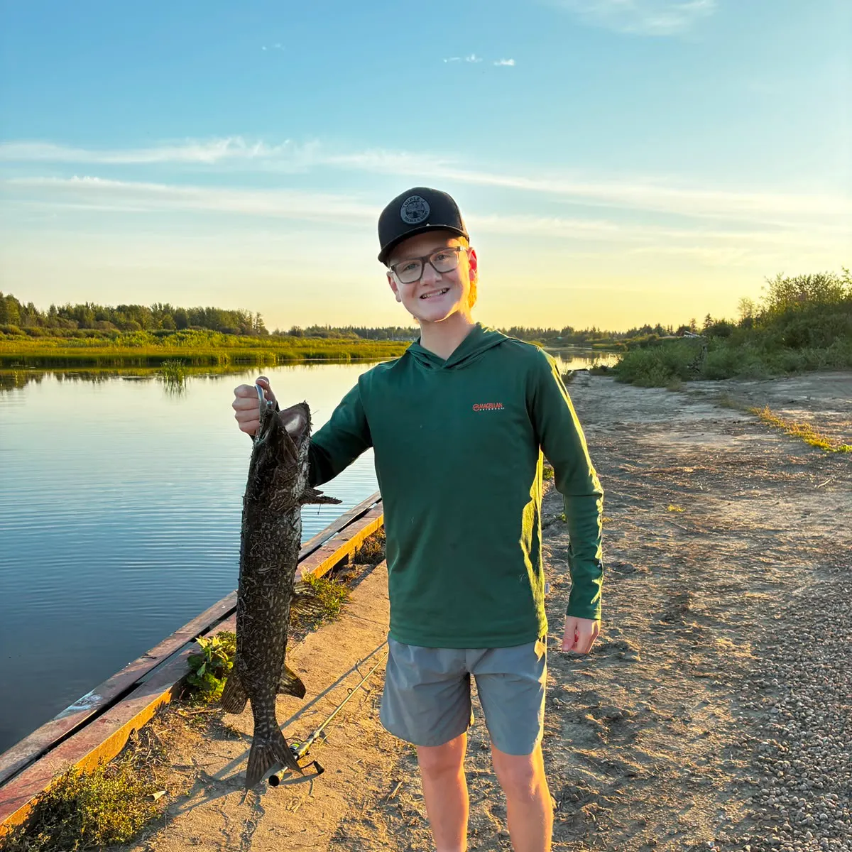 Northern pike caught on Fishbrain