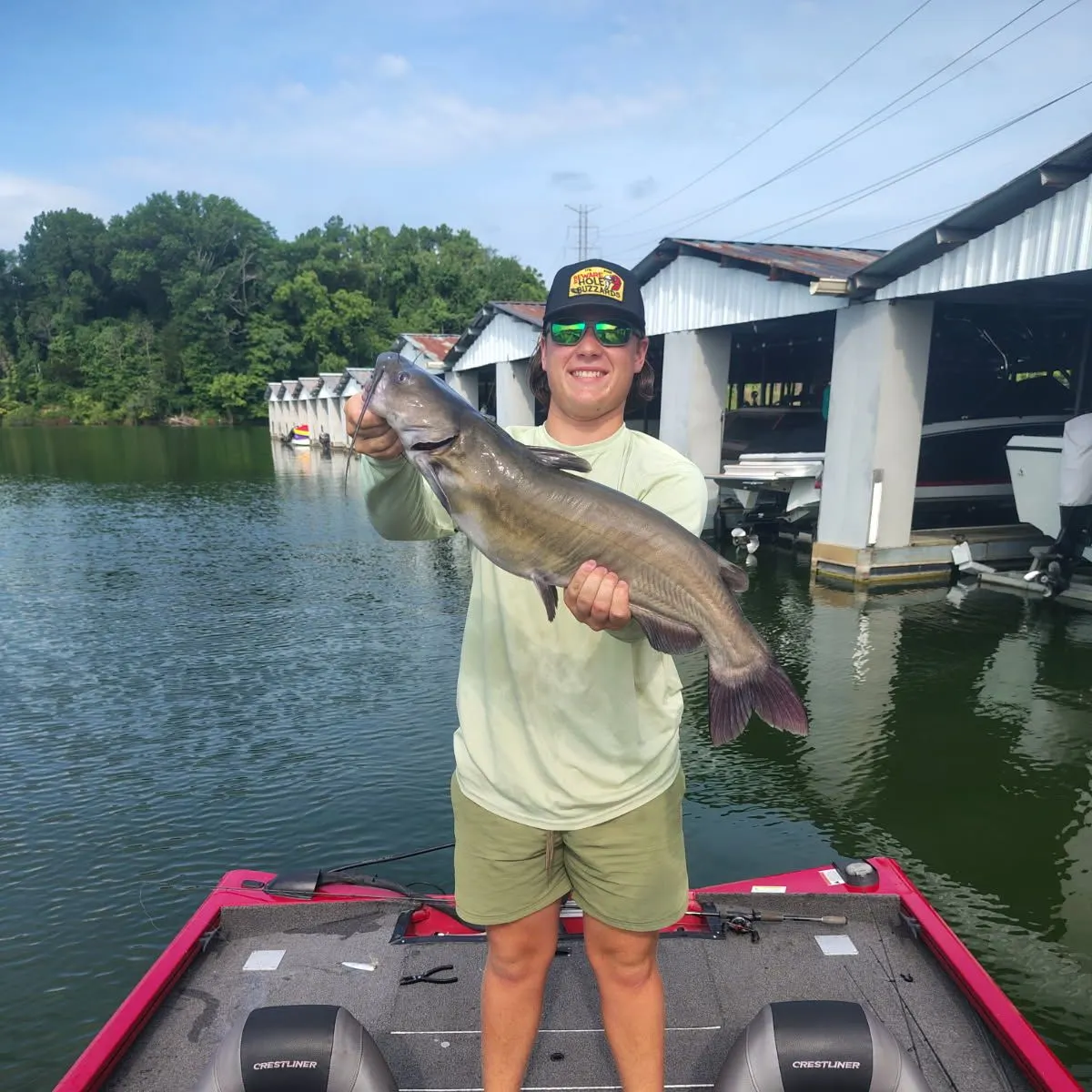 recently logged catches