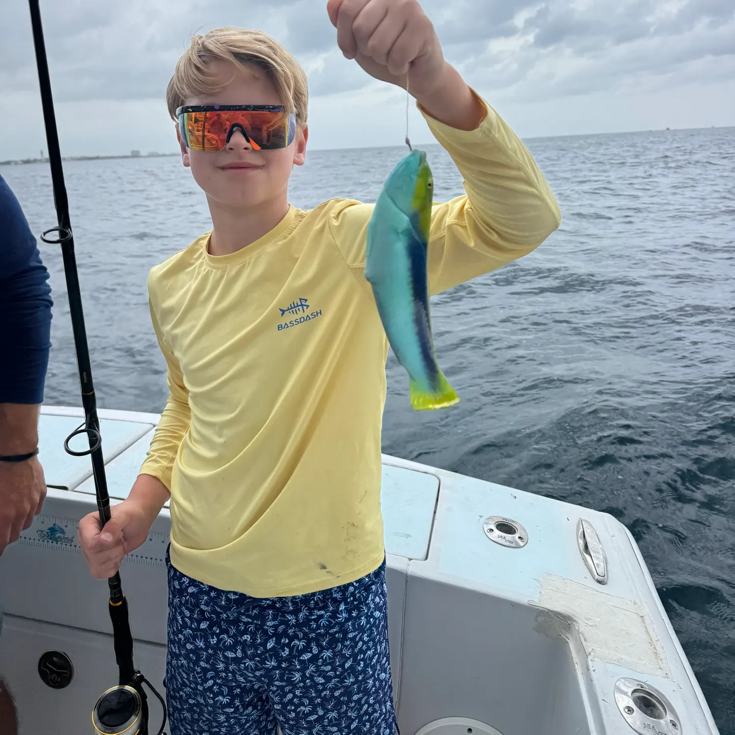 The most recent Blue parrotfish catches on Fishbrain