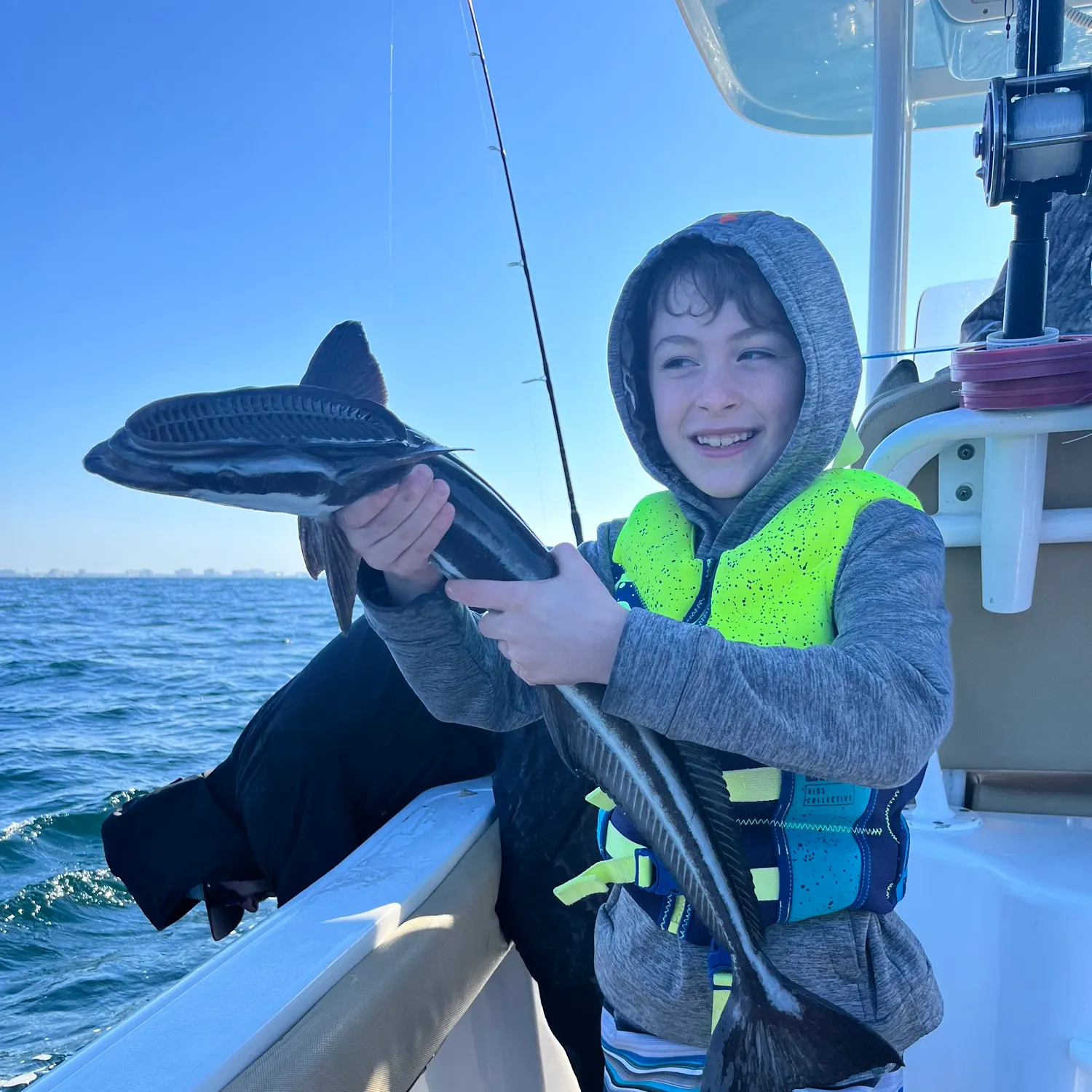 The most recent Live sharksucker catches on Fishbrain