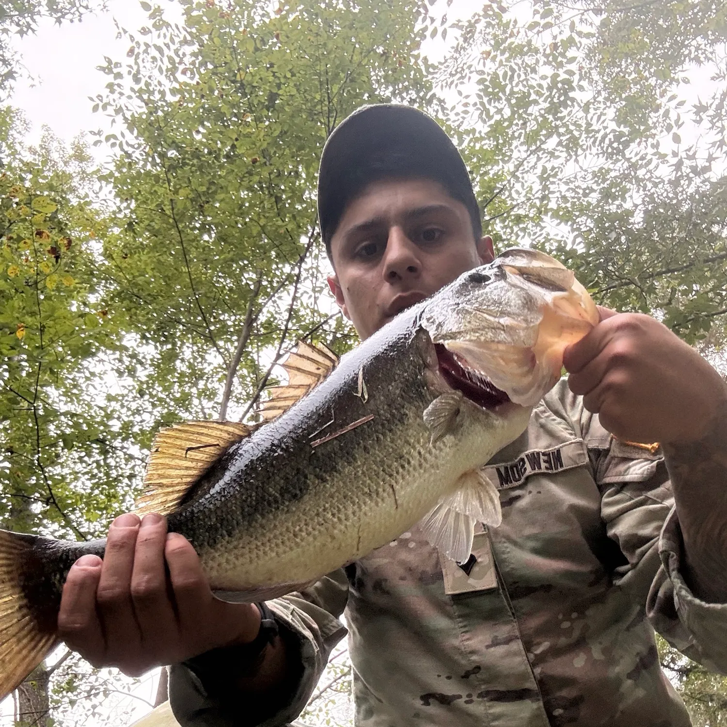 Largemouth bass caught on Fishbrain